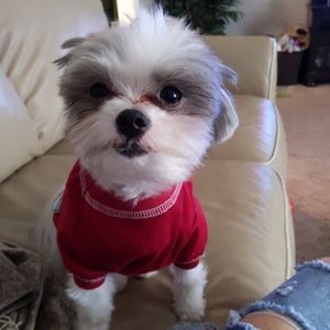 Meet your Posher, Jenny